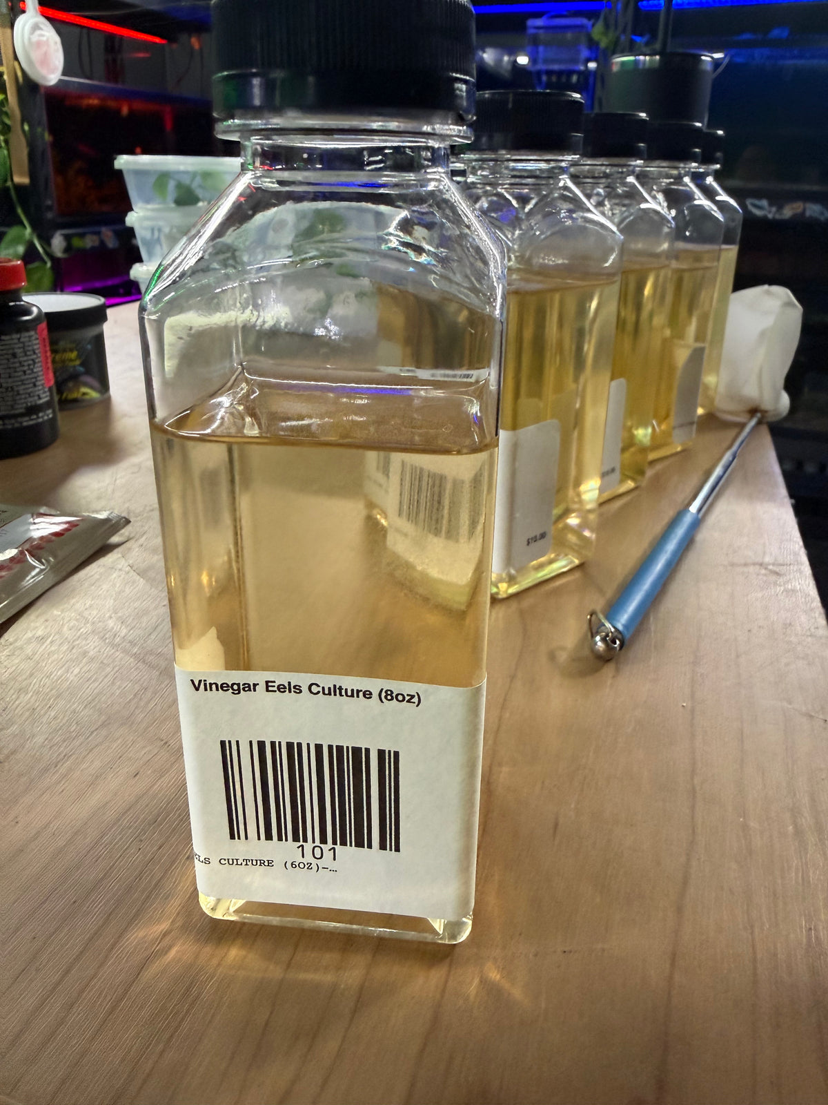 Vinegar Eels Culture (6oz)