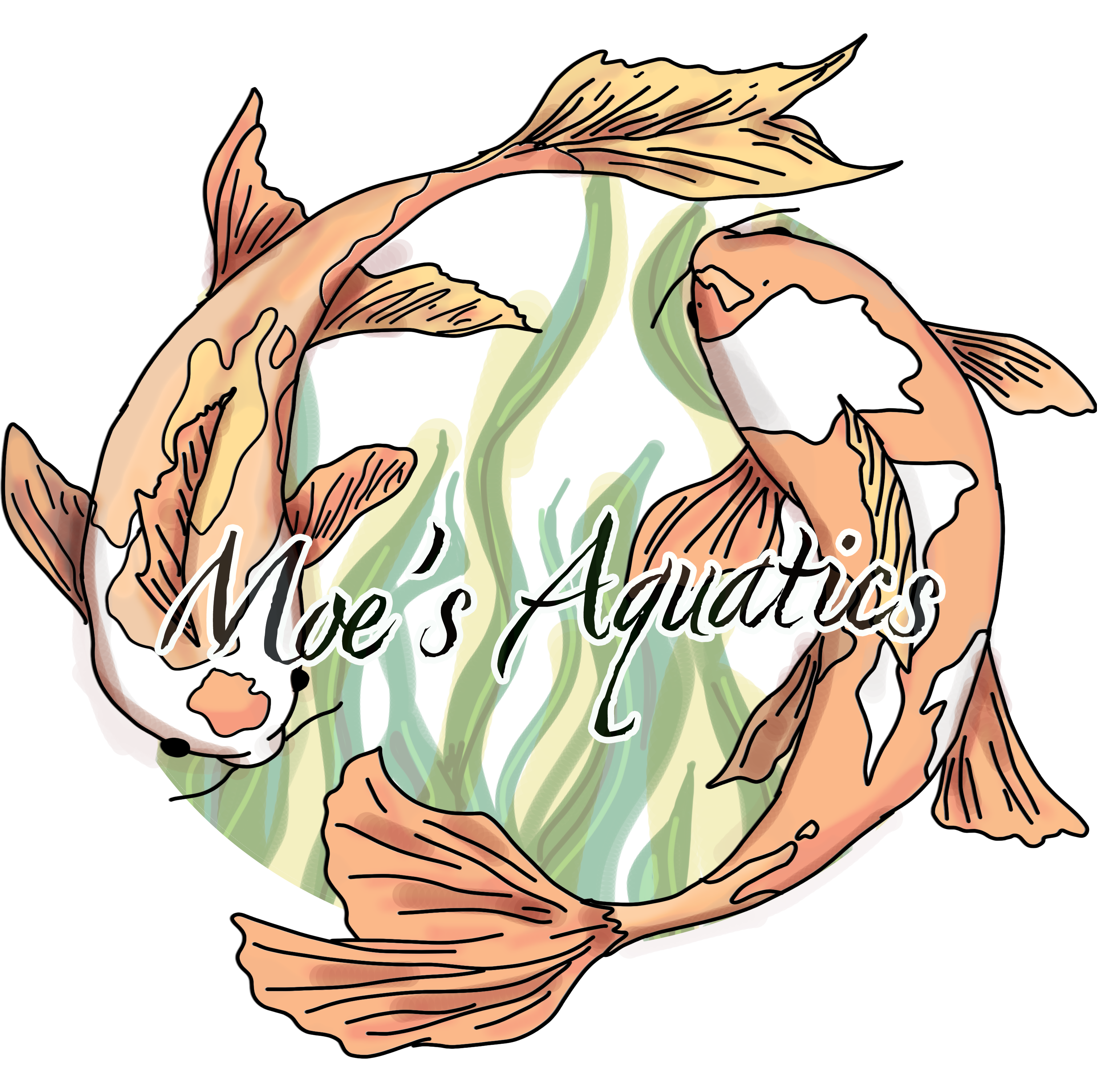 Moe’s Aquatics